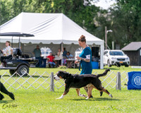 20240630-DSC02883