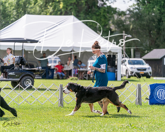 20240630-DSC02883