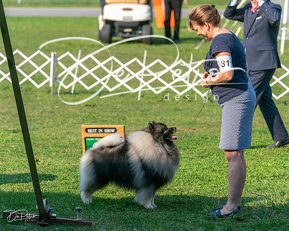 20240913-DSC00478