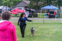 20250627-DSC06193