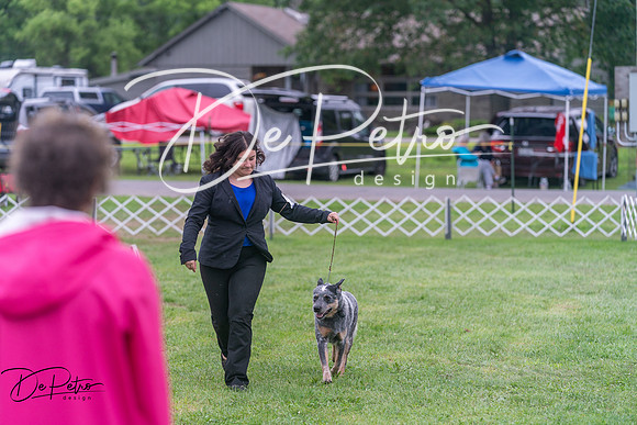 20250627-DSC06193