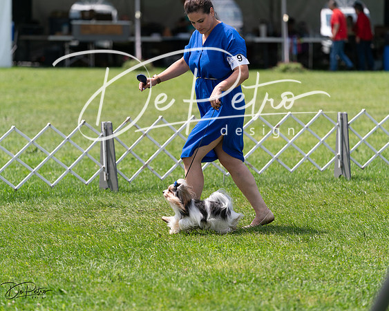 20240630-DSC01605