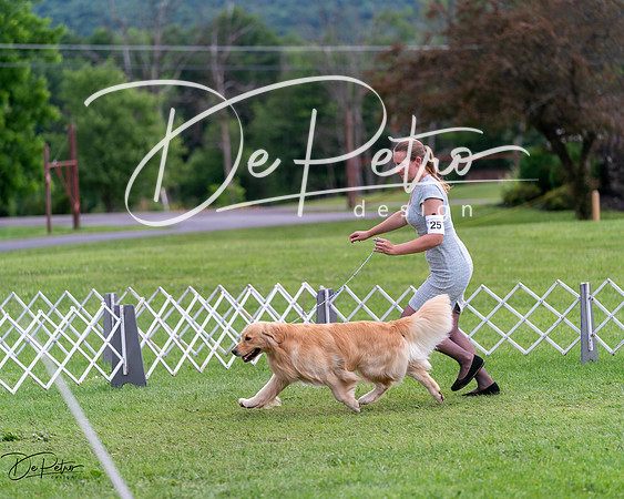 20240630-DSC00974