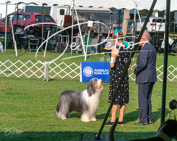 20240913-DSC00174