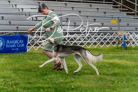 20240428-DSC08445