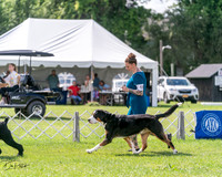 20240630-DSC02882