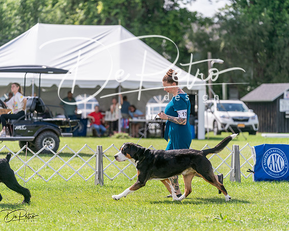 20240630-DSC02882