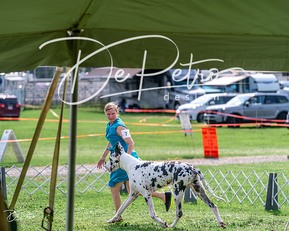 20240815-DSC07424