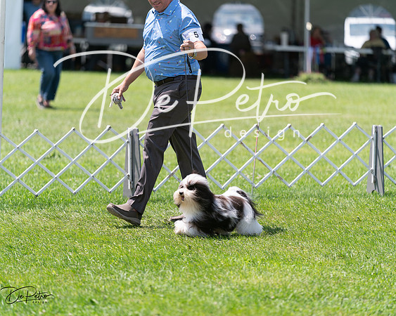 20240630-DSC01531
