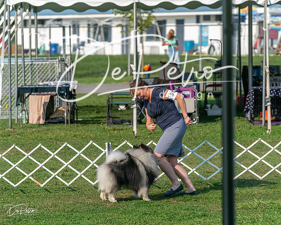 20240913-DSC00357