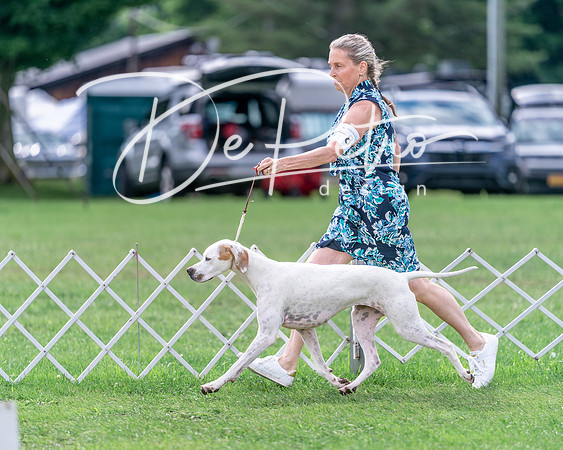 20240630-DSC03942