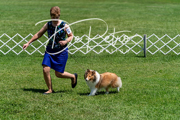 20240630-DSC01382