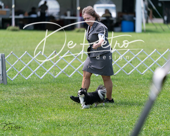 20240630-DSC01569