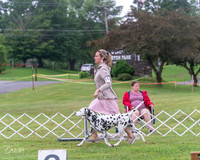 20250626-DSC03502