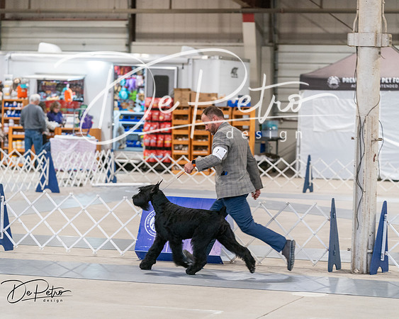 20250301-DSC03947