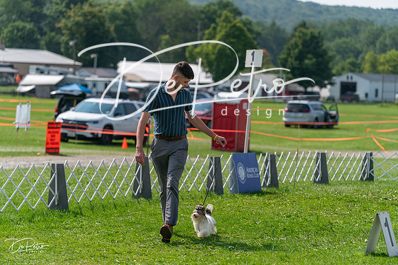 20240816-DSC00411