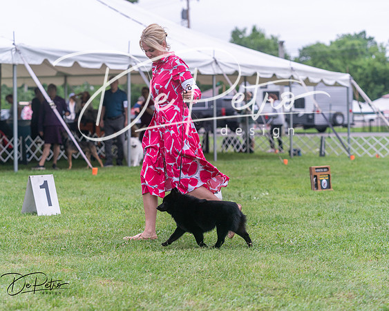 20250627-DSC06668