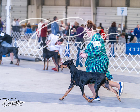 20250302-DSC06797