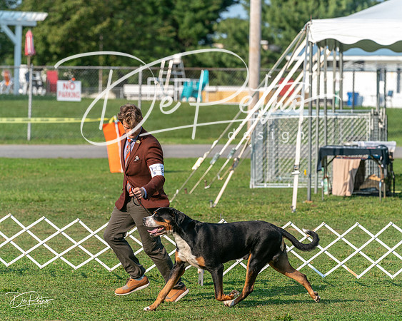 20240913-DSC09997