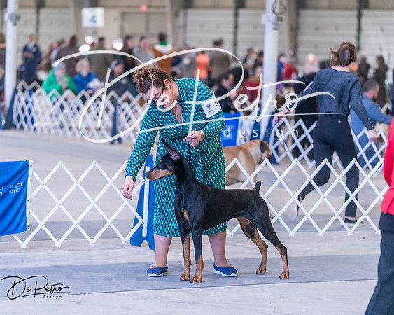 20250302-DSC06780