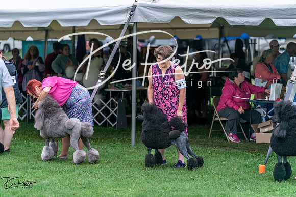 20240629-DSC05712