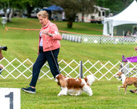 20250626-DSC02946