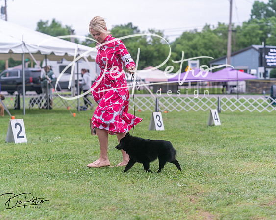 20250627-DSC06655