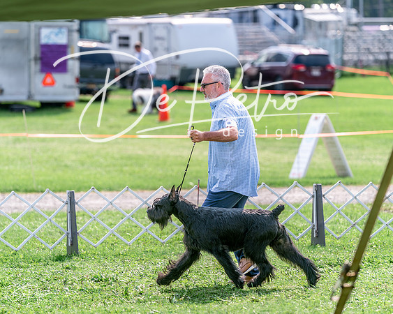 20240815-DSC07585