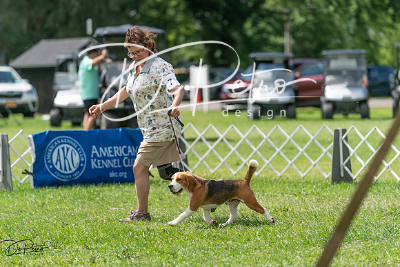 20240630-DSC02300