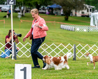20250626-DSC02950