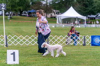 20250626-DSC02668