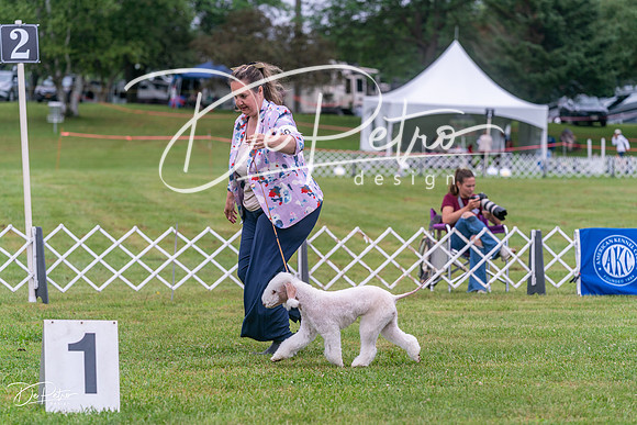 20250626-DSC02668