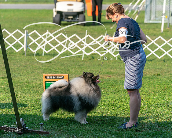 20240913-DSC00470
