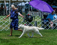 20250629-DSC09326