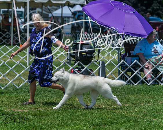 20250629-DSC09326