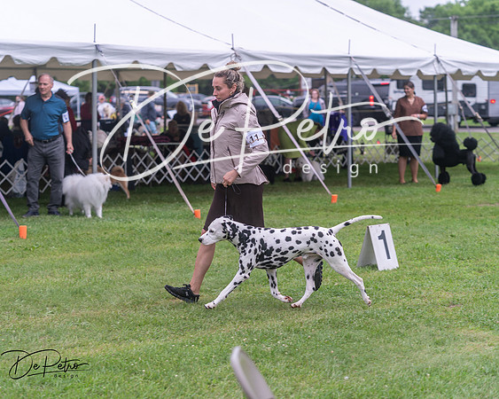 20250627-DSC06508