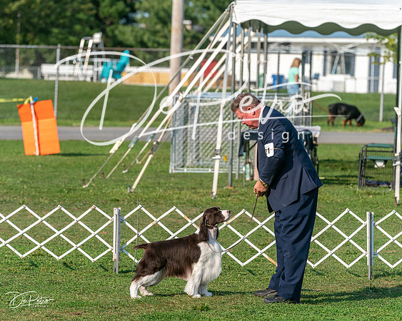 20240913-DSC00322