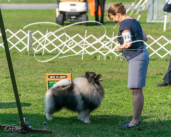 20240913-DSC00475