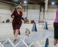 20250302-DSC07854