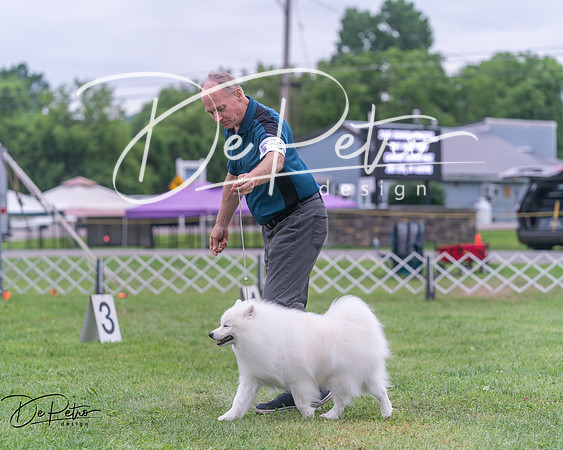 20250627-DSC06586
