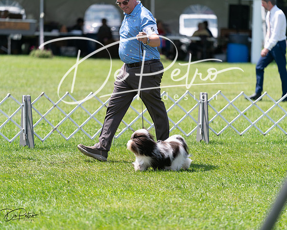 20240630-DSC01522