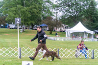 20250626-DSC02642