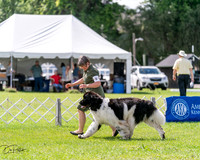 20240630-DSC02901