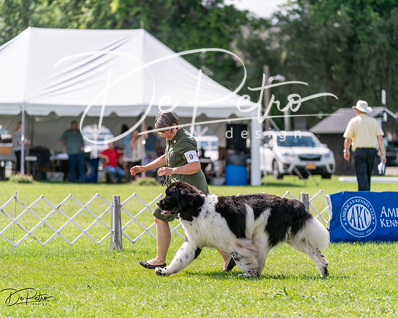 20240630-DSC02901
