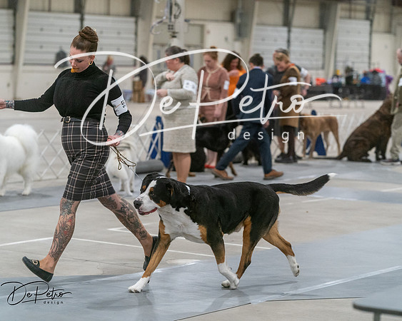 20250302-DSC07655