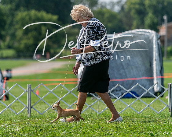 20240816-DSC01076