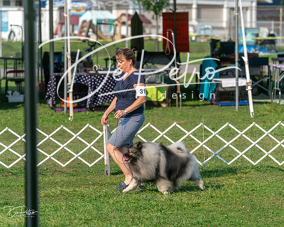 20240913-DSC00356