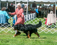 20250629-DSC09295