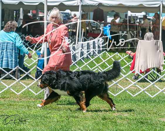 20250629-DSC09295