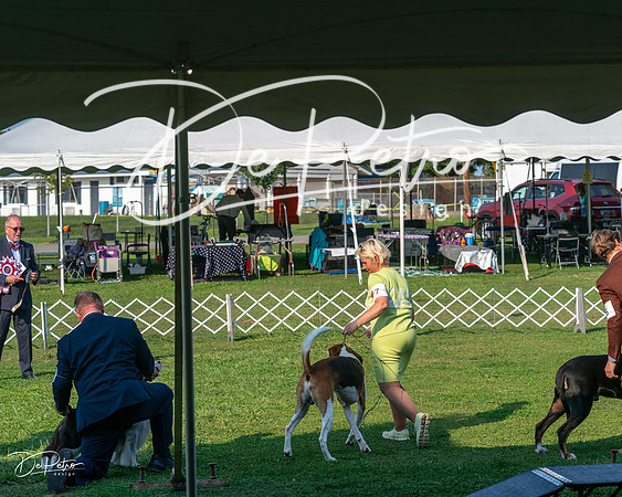 20240913-DSC00490